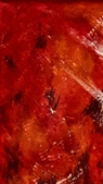 Alternate Universe_detail 1 Alternate Universe detail 1