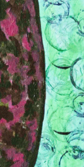 Crooked Shapes_detail 1 Crooked Shapes detail 1